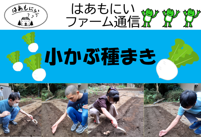 画像：生活介護【はあもにいファーム通信-小かぶ種まき-】