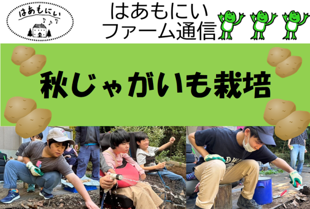 画像：生活介護【はあもにいファーム通信-秋じゃがいも栽培-】