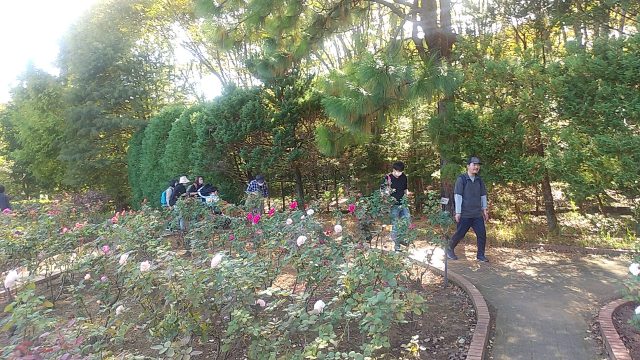 画像：智光山公園外出