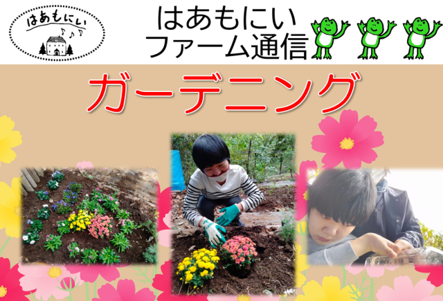 画像：生活介護【はあもにいファーム通信-ガーデニング-】
