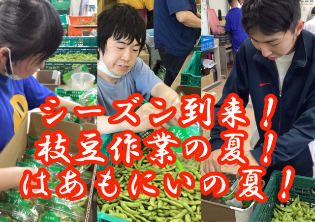 画像：就労継続B【枝豆作業】