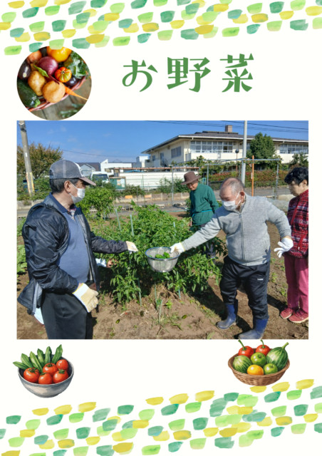 画像：キャンバス農園　収穫