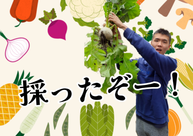 画像：生活介護【はあもにいファーム通信-聖護院かぶら収穫-】