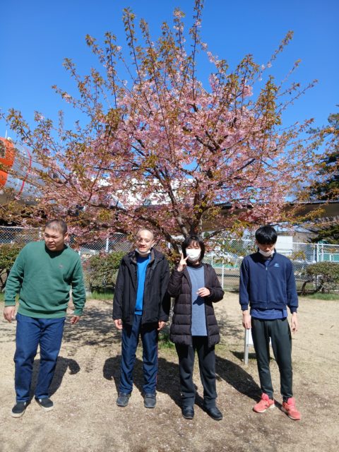 画像：たくさんお花見してきました